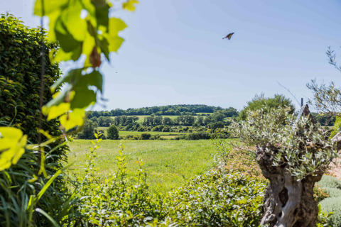 View of lush fields and rolling hills from Domaine Bonneblond Glamping Lodges in Auvergne-Rhône-Alpes region.