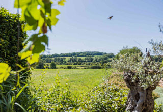 Uitzicht op groene weilanden vanaf Domaine Bonneblond Glamping Lodges in de Auvergne-Rhône-Alpes regio.
