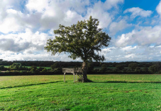 Plateforme de cabane dans un arbre au Domaine Bonneblond - Glamping Lodges Auvergne-Rhône-Alpes sur un pré vert.