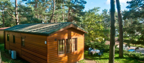 Cabaña moderna de madera en Vakantiepark Havelberge, rodeada de pinos, con mesa y sillas de jardín en el césped.