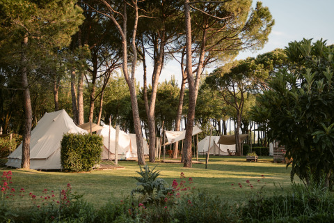 Glamping accommodatie bij Camping Ca Savio - Nordisk Village tenten omgeven door pijnbomen nabij Venetië.
