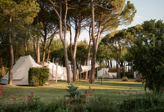 Glamping accommodatie bij Camping Ca Savio - Nordisk Village tenten omgeven door pijnbomen nabij Venetië.