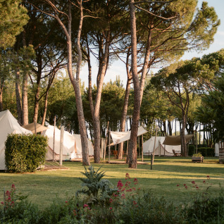 Glampingverblijf bij Camping Ca Savio - Nordisk Village tenten omringd door dennen nabij Venetië, Italië.