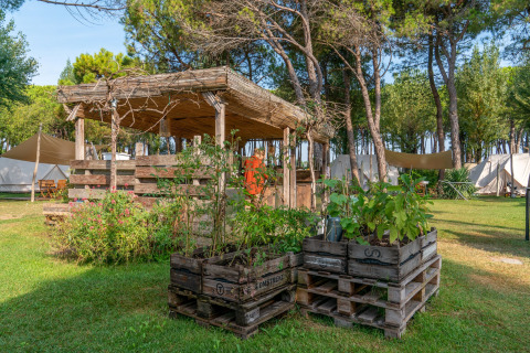 Glamping au Camping Ca Savio avec tentes Nordisk Village à Venise, jardin, arbres et bacs à plantes.