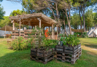 Glamping bei Camping Ca Savio – Nordisk Village Zelte bei Venedig, mit Palettenbeeten und Pinien.