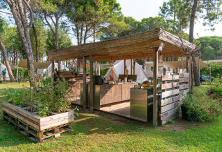 Glampingkøkken og telte ved Camping Ca Savio - Nordisk Village i Venedig, omgivet af træer og natur.