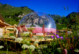 Glamping bubbel 'Bubbelreis - Glazen Iglo Isenthal' in de groene bergen omgeven door wilde bloemen en natuur.