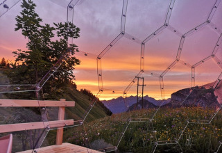 Udsigt fra en glamping boble-iglo i Isenthal med blomstereng, bjerge og farverig solnedgang.