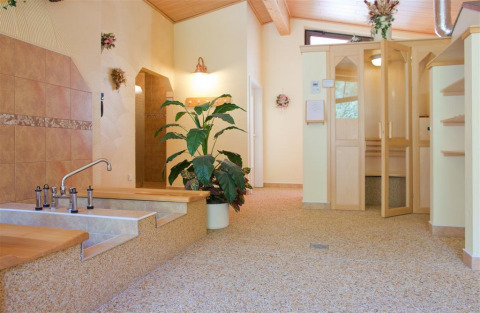 Innenbereich eines Spa-Bereichs mit Sauna, viel Holz und Pflanzen in den Blockhütten Hessen, Ferienanlage Erzeberg.