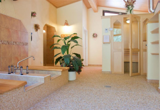 Binnenruimte met spa, sauna, houten accenten, planten en tegelvloer in Ferienanlage Erzeberg, Blockhütten Hessen.