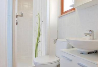 Bright and compact bathroom with toilet, shower, sink, and wood-look floor in a glamping cabin in Hessen.