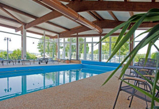 Piscina coperta con sedie a sdraio e ampie vetrate presso Ferienanlage Erzeberg - Blockhütten Hessen, immersa nel verde.