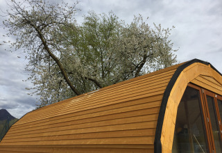 Glamping iglo-rør indkvartering ved Campofelice Camping Village nær Lago Maggiore under blomstrende træer.
