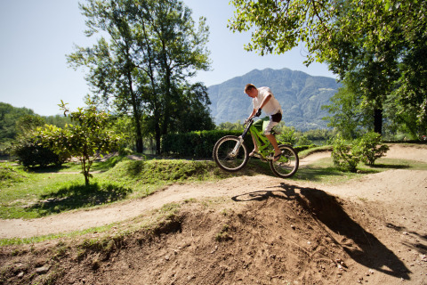 Mountain biker salta su pista sterrata al Campofelice Camping Village sul Lago Maggiore, immerso nel verde.