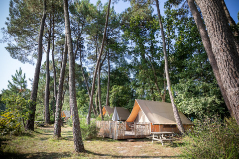 Glampingaccommodatie in Village Huttopia Lac de Rillé - Glamping Val de Loire, omgeven door hoge bomen.