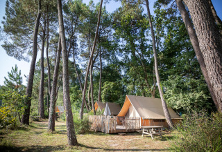 Sistemazione glamping presso Village Huttopia Lac de Rillé - Glamping Val de Loire, tra alberi alti.