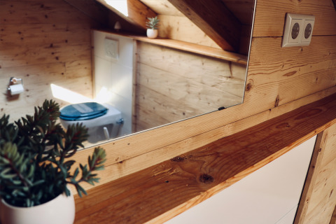 Wood-paneled bathroom with a small mirror and succulent plant at Camping & Vakantiepark Orsingen, Baden-Württemberg.