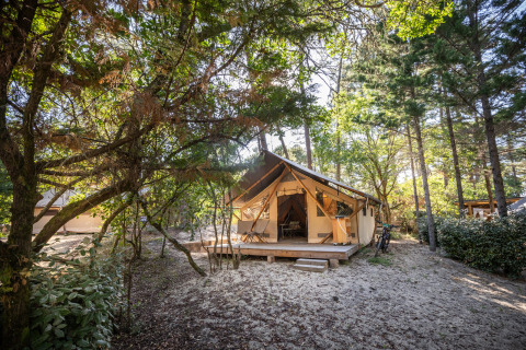 Glamping-Unterkunft im Wald bei Camping Huttopia Arcachon, Glamping Nouvelle-Aquitaine, luxuriöses Zelt.