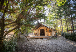 Glamping accommodation surrounded by forest at Camping Huttopia Arcachon, Glamping Nouvelle-Aquitaine, France.