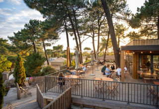 Terrasse en plein air du Camping Huttopia Arcachon, entourée de pins et de vacanciers en soirée.