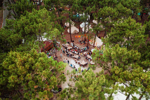 Vista aerea di Enter the Wave – Forestcamp Biscarrosse, campeggio glamping tra pini alti.