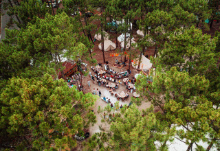 Vista aérea de Enter the Wave – Forestcamp Biscarrosse, zona de glamping rodeada de altos pinos.