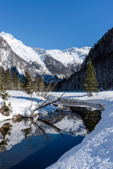 Winters tafereel bij HOCHoben - Chalets Oostenrijk met besneeuwde bergen, dennen en een spiegelend meer.