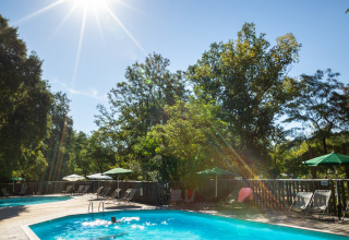 Sonniger Tag am Pool bei Huttopia Le Moulin - Glamping Ardèche, umgeben von Bäumen und Liegestühlen.