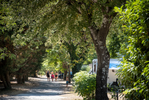 Des familles marchent sur un chemin ombragé à Huttopia Le Moulin - Glamping Ardèche, entourées de verdure et caravanes.