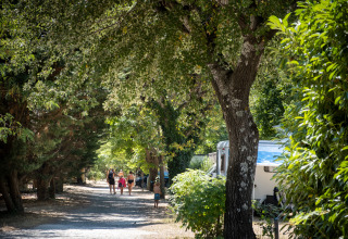 Familias pasean por un sendero sombreado en Huttopia Le Moulin - Glamping Ardèche, rodeados de árboles y caravanas.