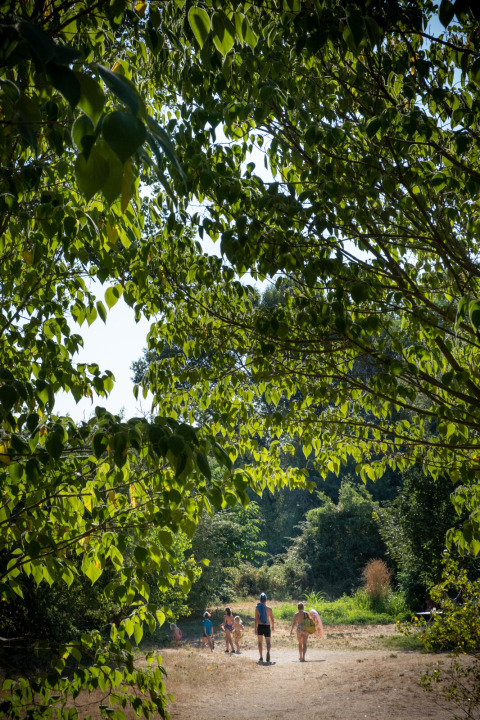 Family walks through lush greenery at Huttopia Le Moulin - Glamping Ardèche on a sunny day outdoors.