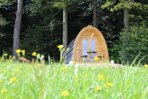 Alloggio glamping nel bosco, pod in legno su prato fiorito presso Äckerhof nella Foresta Nera, Germania.