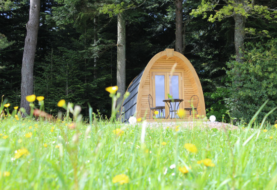 Alojamiento glamping en el bosque, pod de madera en un prado florido, Äckerhof en la Selva Negra.