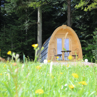 Hébergement glamping en forêt, pod sur une prairie fleurie à Äckerhof dans la Forêt-Noire, Allemagne.