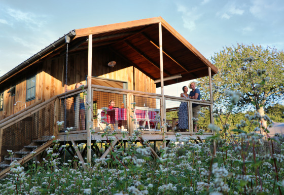 Dihan Évasion - Lodges Bretagne : des personnes profitent d’une terrasse en bois entourée de fleurs.