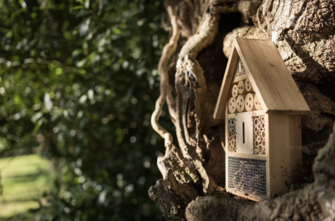 Hotel de insectos de madera fijado a un árbol, naturaleza exuberante en Dihan Evasion - Lodges Bretagne.