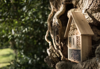 A wooden insect hotel attached to a tree, surrounded by greenery at Dihan Evasion - Lodges Bretagne.