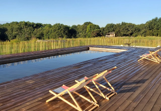 Træterrasse med solstole ved et svømmebassin, omgivet af natur ved Dihan Evasion - Lodges Bretagne.