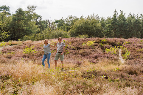 Pareja caminando entre el brezo cerca de Vakantiepark Ommerland – Safaritenten Overijssel, rodeados de naturaleza.