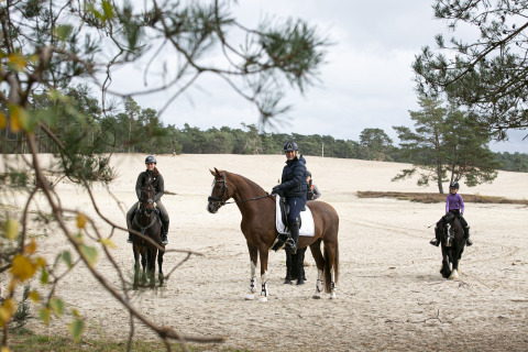 Drei Personen auf Pferden reiten durch eine sandige Landschaft nahe Wäldern im Vakantiepark Ommerland.