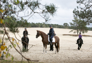 Drei Personen auf Pferden reiten durch eine sandige Landschaft nahe Wäldern im Vakantiepark Ommerland.