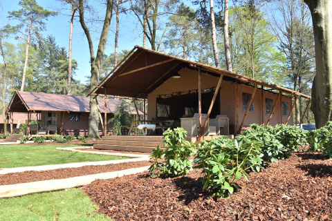 Glamping hytter i naturen ved Vakantiepark Ommerland – Safaritenten Overijssel med træer og grønne omgivelser.