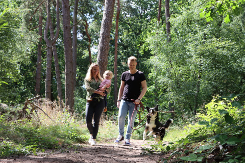 Gezin met kind en hond wandelt in het bos bij Vakantiepark Ommerland – Safaritenten Overijssel in Overijssel.