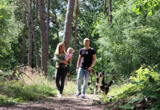 Famiglia con bambino e cane durante una passeggiata nei boschi vicino a Vakantiepark Ommerland – Safaritenten Overijssel.