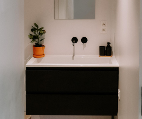 Lavabo moderno con mobile nero, specchio, pianta e dispenser presso Boszee Glampingtenten West-Vlaanderen.