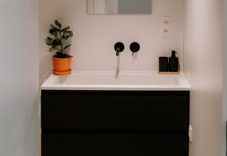 Modern bathroom sink with black cabinet, mirror, plant, and dispensers in Boszee Glampingtenten West-Vlaanderen.
