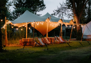 Glamping Boszee - Glampingtenten West-Vlaanderen con tende, luci decorative e sedie a sdraio nella natura.