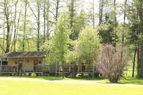 Cabanes en bois de Kano & Kamp Aqua Hema- Blokhutten Beieren, situées parmi arbres et verdure luxuriante.