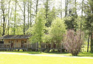 Wooden cabins at Kano & Kamp Aqua Hema- Blokhutten Beieren, nestled among green trees in a bright forest.