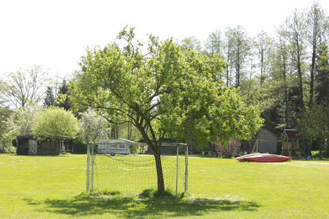 A tree grows through a soccer goal on a grassy field at Kano & Kamp Aqua Hema-Blokhutten Beieren campsite.